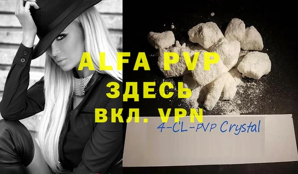 гашик Абаза