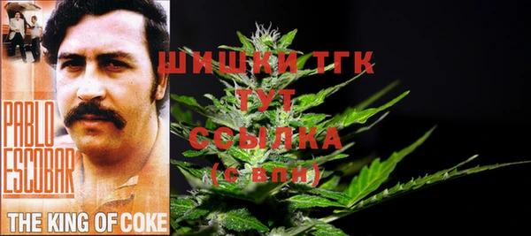 гашик Абаза